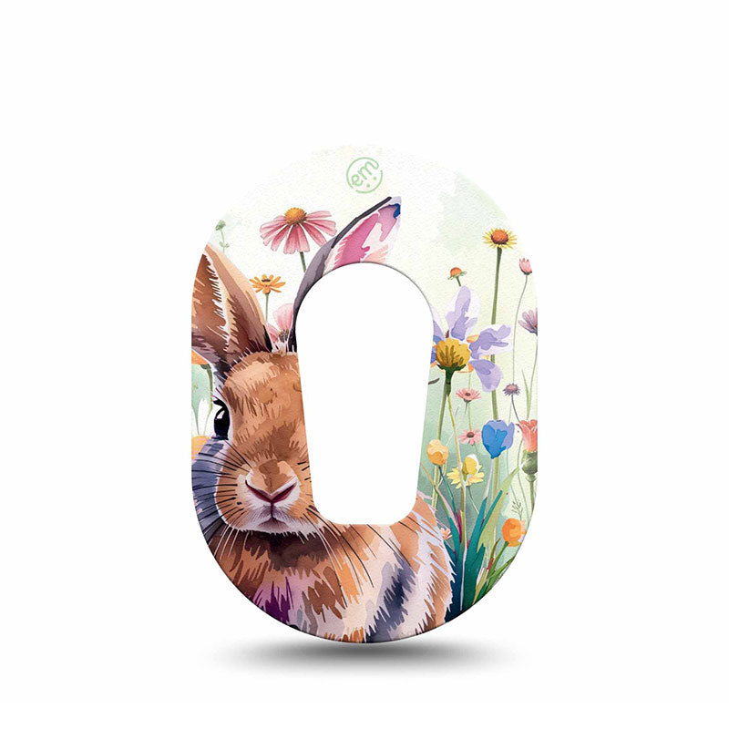 Rubans adhésifs ExpressionMed pour Dexcom G6 : Mini lapin aquarelle