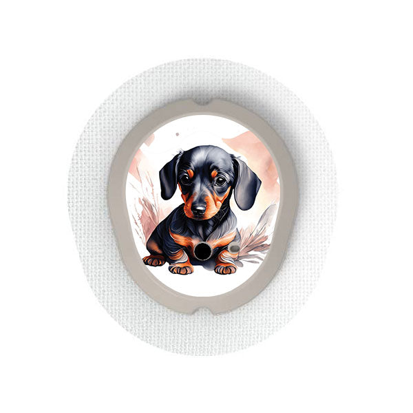 Dexcom G7 transmitter sticker: Dachshund