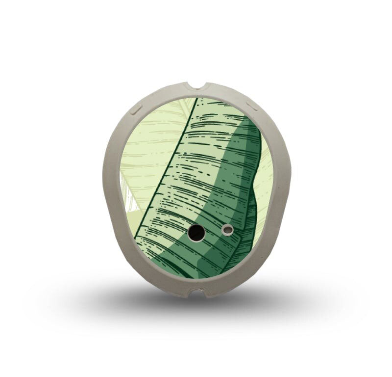 ExpressionMed Dexcom G7 transmitter sticker: Palm leaf