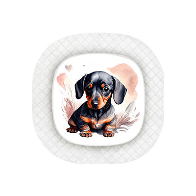 Medtronic Simplera sensor sticker: Dachshund