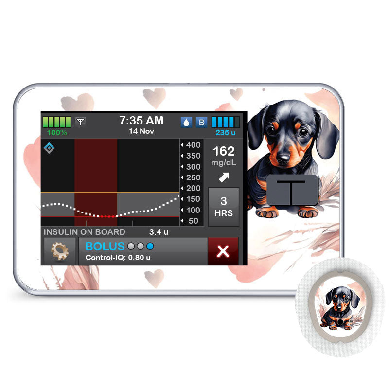 Tandem t:slim decorative sticker: Dachshund